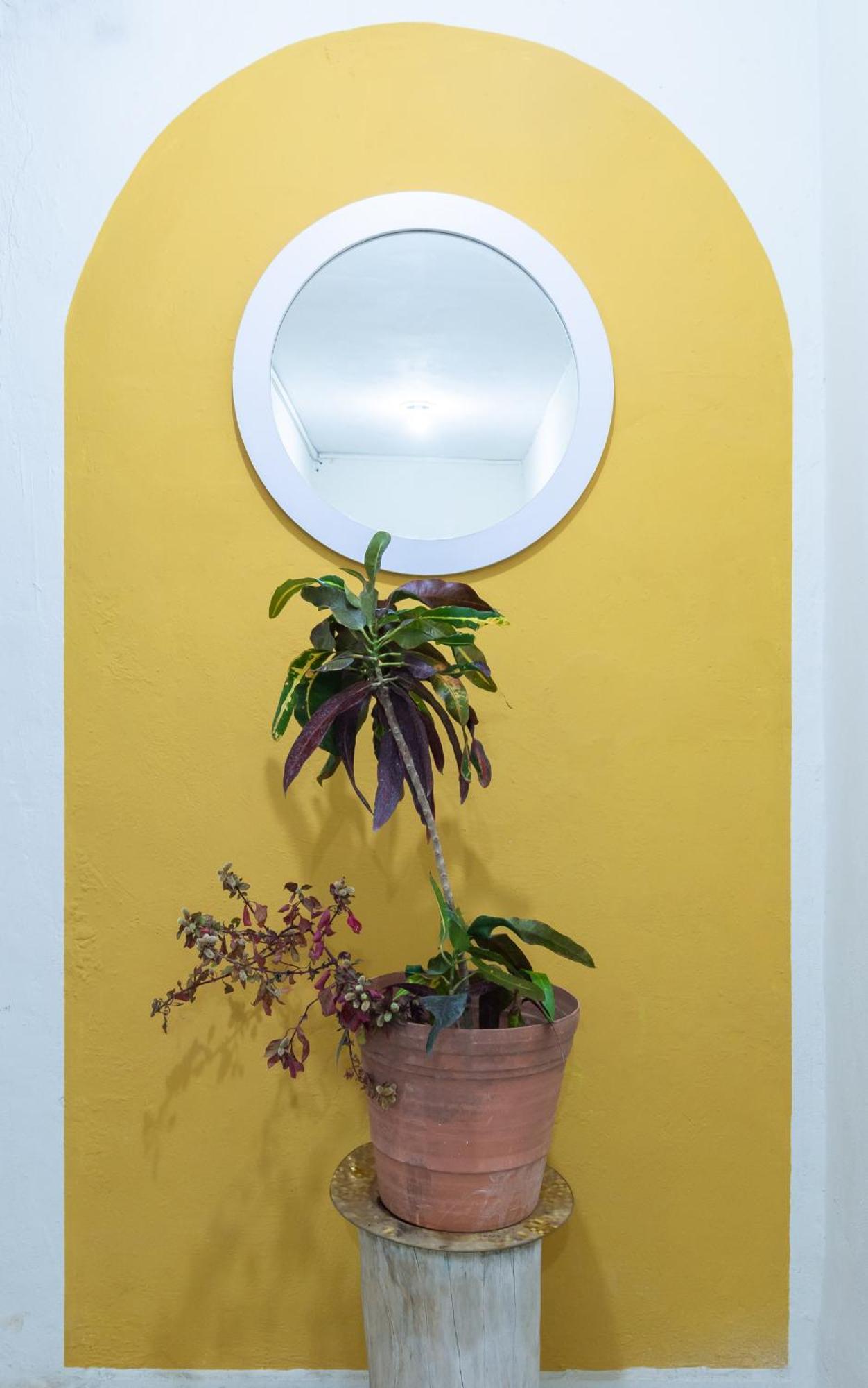 Jardín *